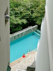 Scenic Heights (D12), Apartment #573044741